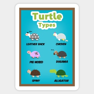 Turtle types version 2/2 Sticker